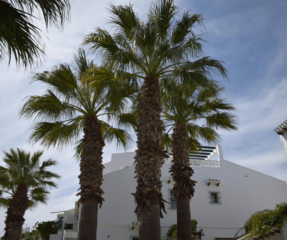 Miért éri meg Spanyolországban ingatlanba fektetni?